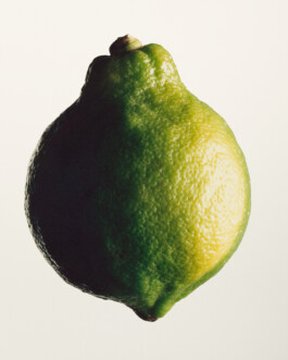 5050